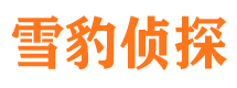 修水侦探公司